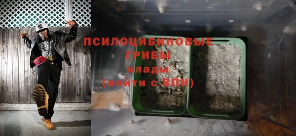 прущая мука Алзамай